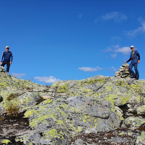 Skardnuten og Høgehei