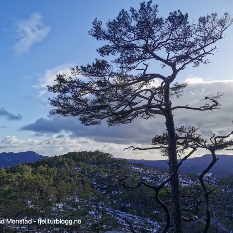 Lierfjellet