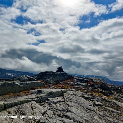 Sandsaskarnuten, Karinuten og Grovnuten