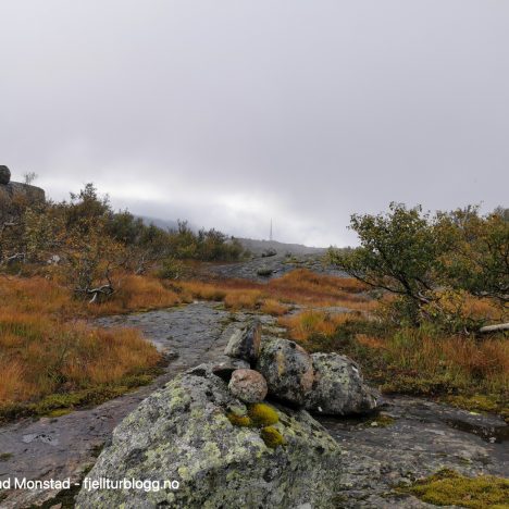 Månastølnuten