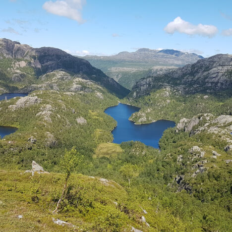 Såta