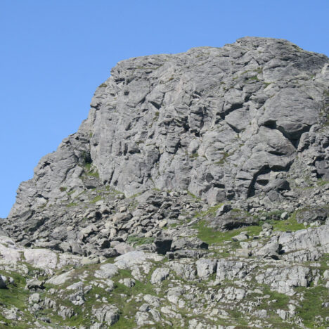 Kvitenuten