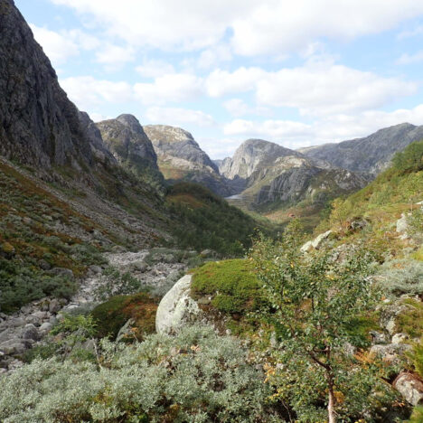 Høyvertjørn (Grasdalen, Bjørndalsvatn)