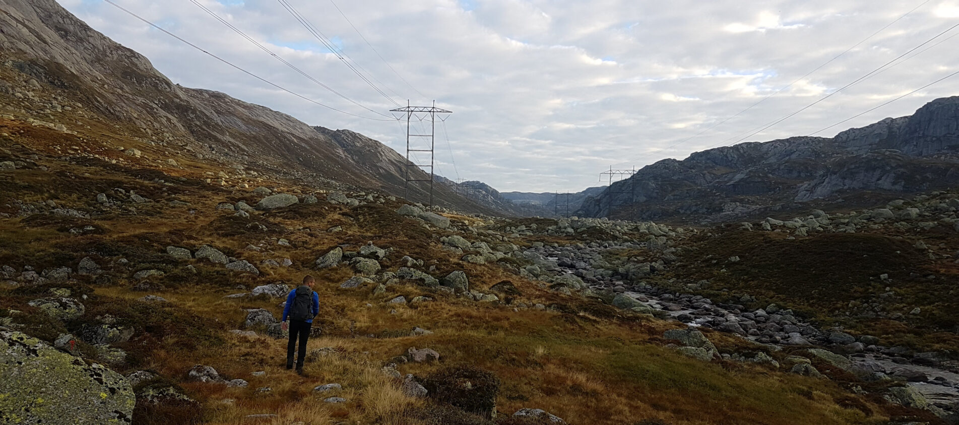 Grasdalen til Førresbotn