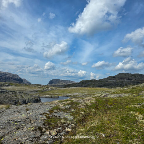 Bjørnstigen (rundtur)