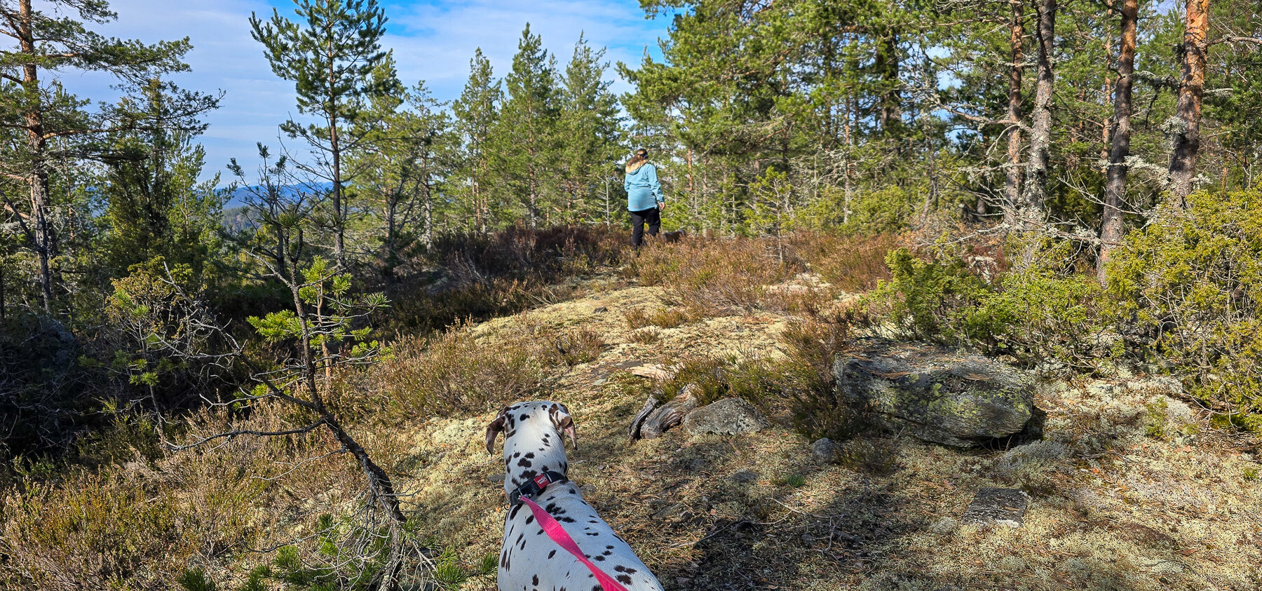 Store Solåsen