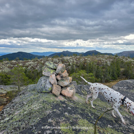Rødsfjell