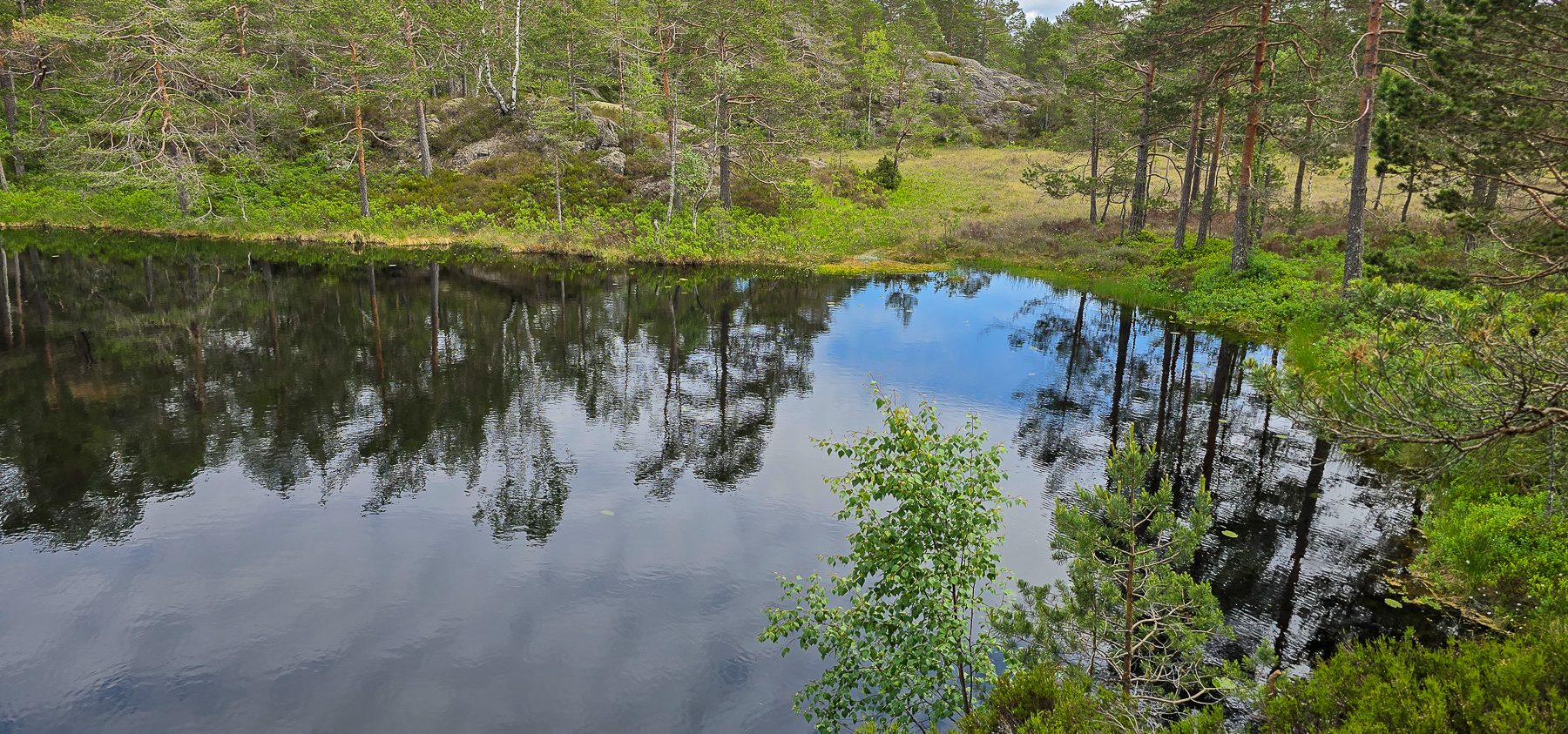 Rødsfjell