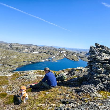 Rødsfjell