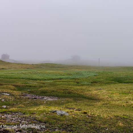 Skorpeskarnuten