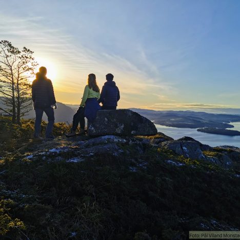 Hognåsen