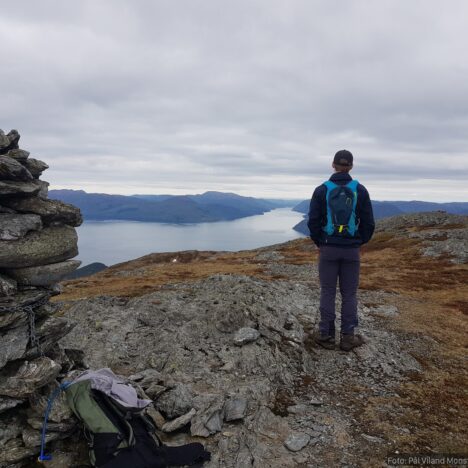 Javnan, Våbrekkefjell, Vikestølen, Trollafjellet