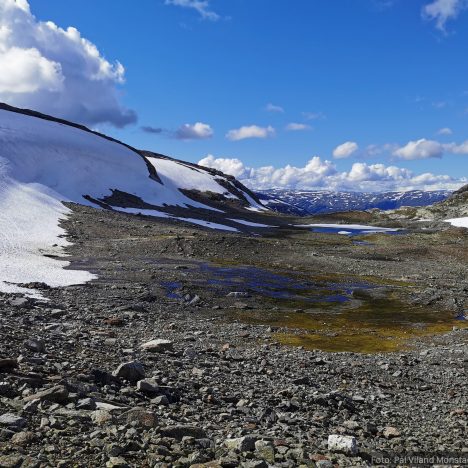 Storavassbu