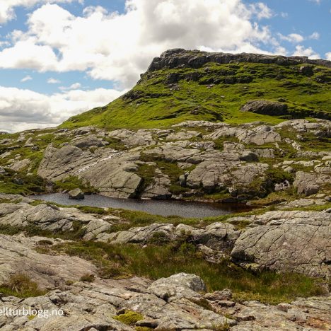 Sandvassheia og Borddalsnuten