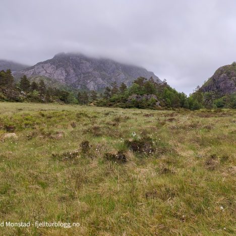 Kaldefjell, Botnanuten og Dyrskarnuten