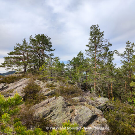 Helgafjellet og Kyrkjefjellet