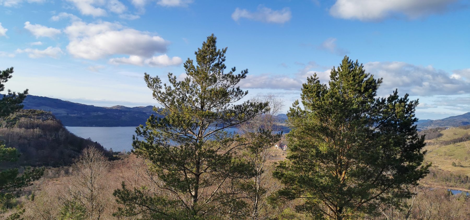 Vårååsen