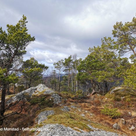 Kvassåsen
