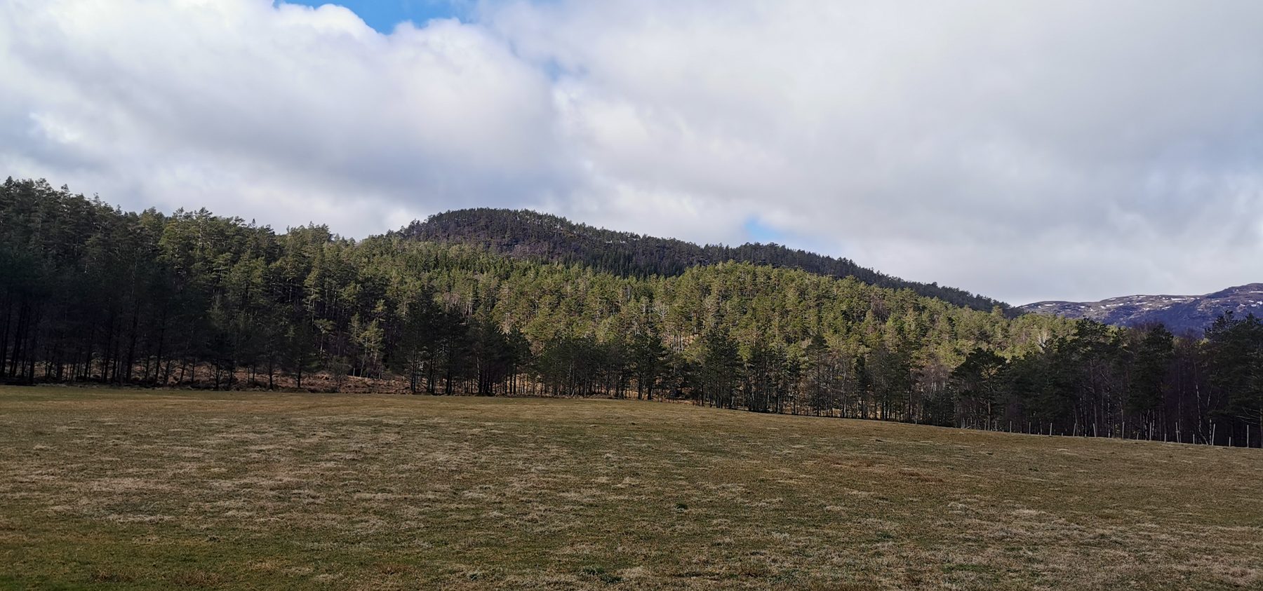 Teråsen