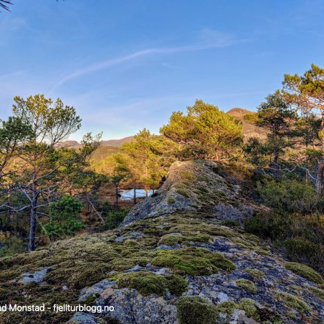 Blåfjell og Fjellberghøgeheia