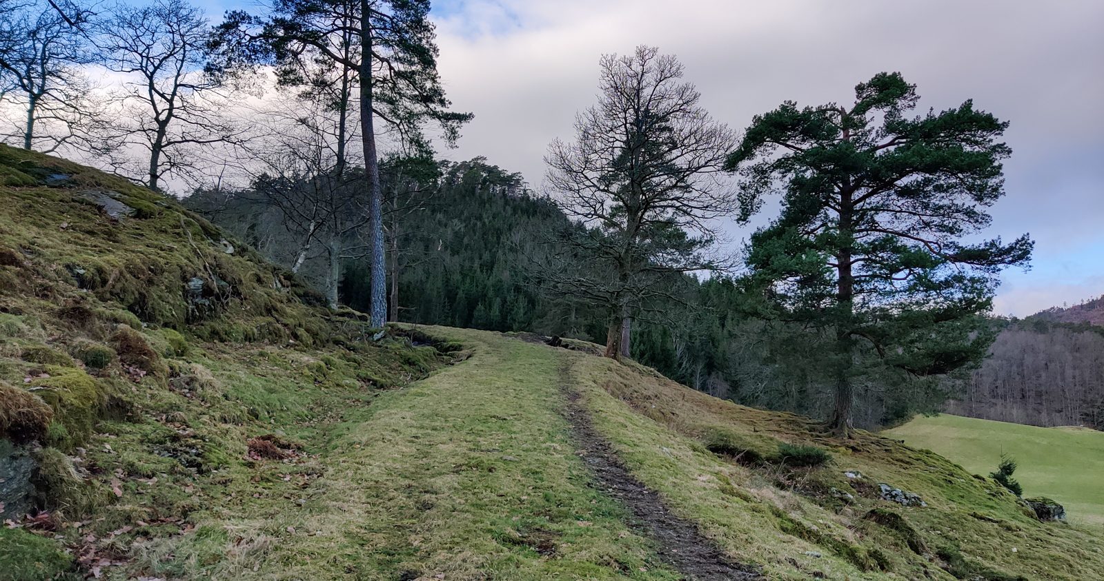 Barkåsen