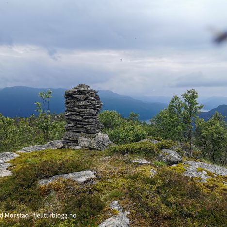 Topper sør for Reinsvatnet