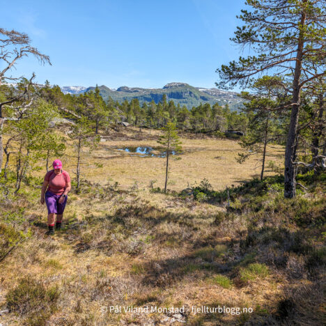 Raudlen