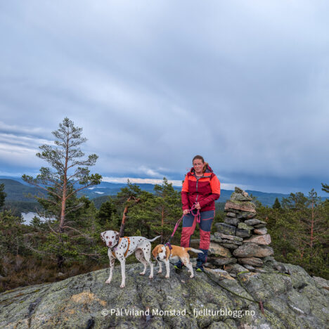 Skjelstadnuten