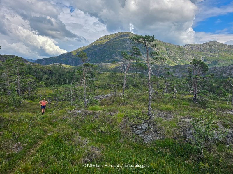 Fint terreng på nordsiden av Krossvatnet. Bjørndalsnuten bak.