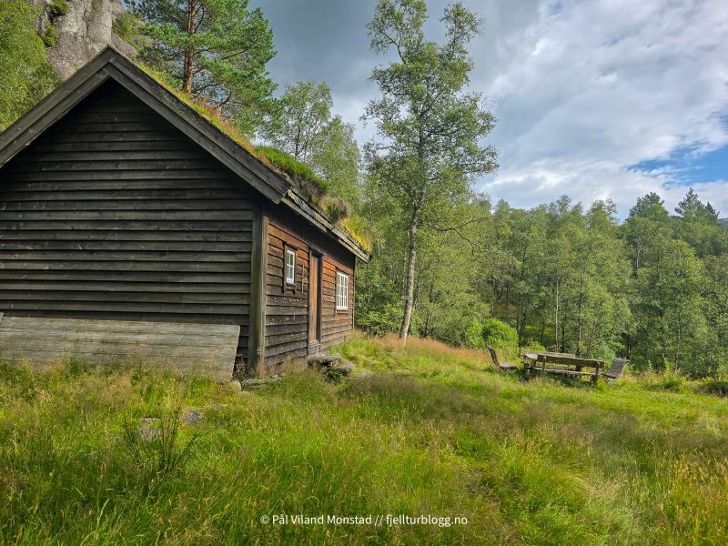 Bjørnstigen.