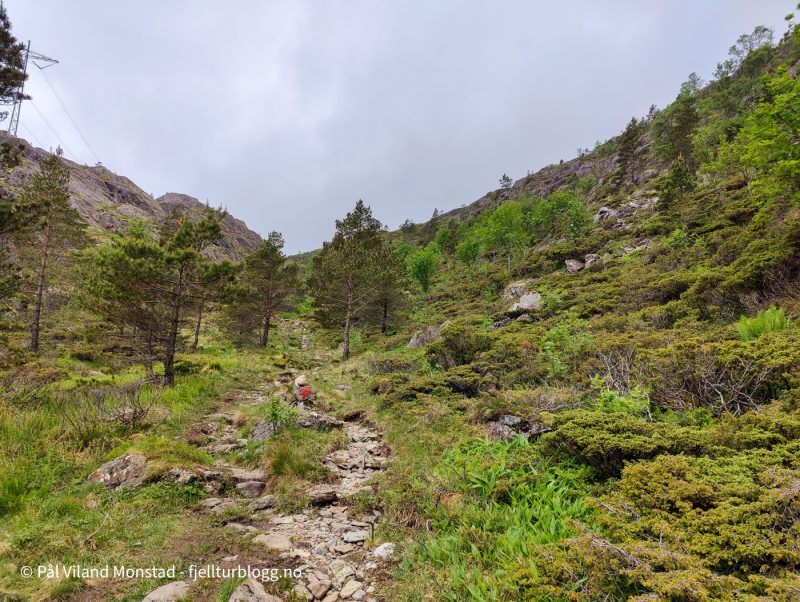 Steingjelsdalen.
