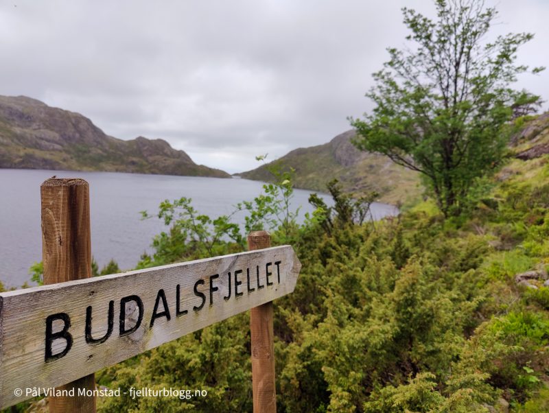 Stikryss. Jeg tar av mot Budalsfjellet.