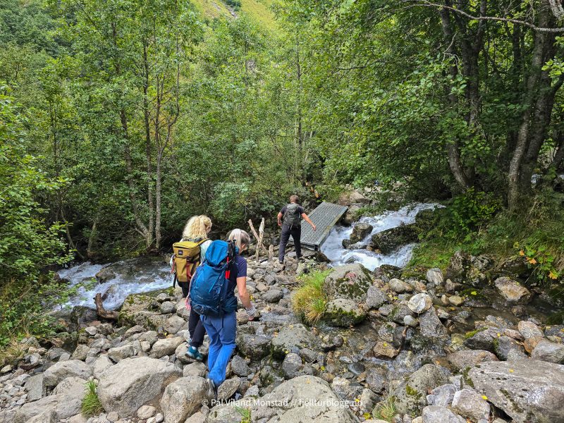 Stien går gjennom skog.