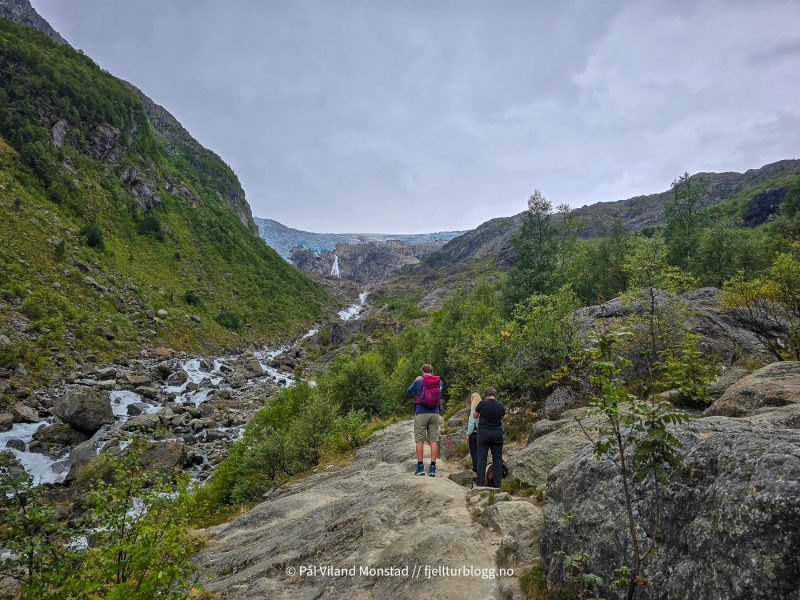 Etter verdt mindre skog og mer stein og sva.