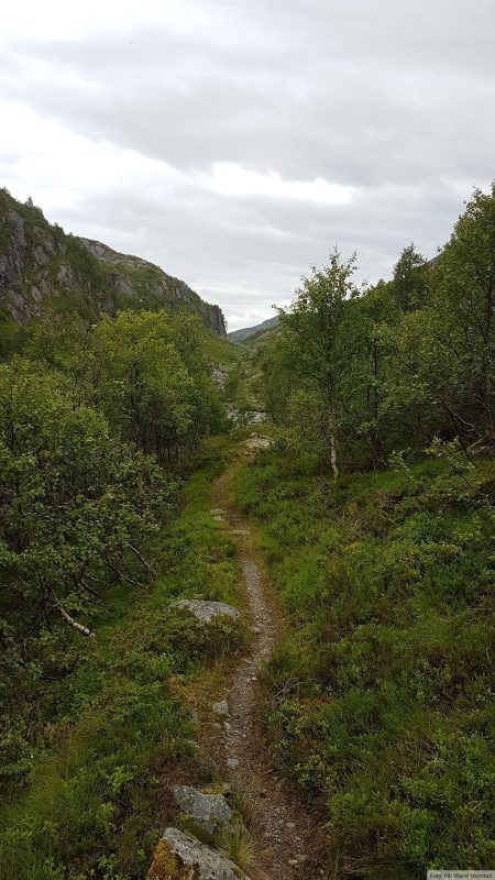 Fin sti innover dalen.