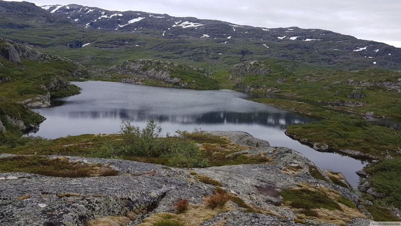 Litt høyere oppe.