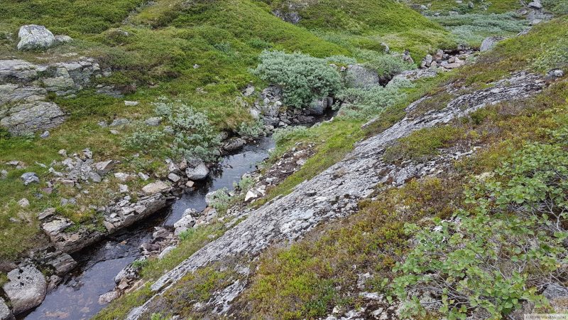Tilbake til østsiden av Langavatnet og bekken som renner mot Dørlevatn.