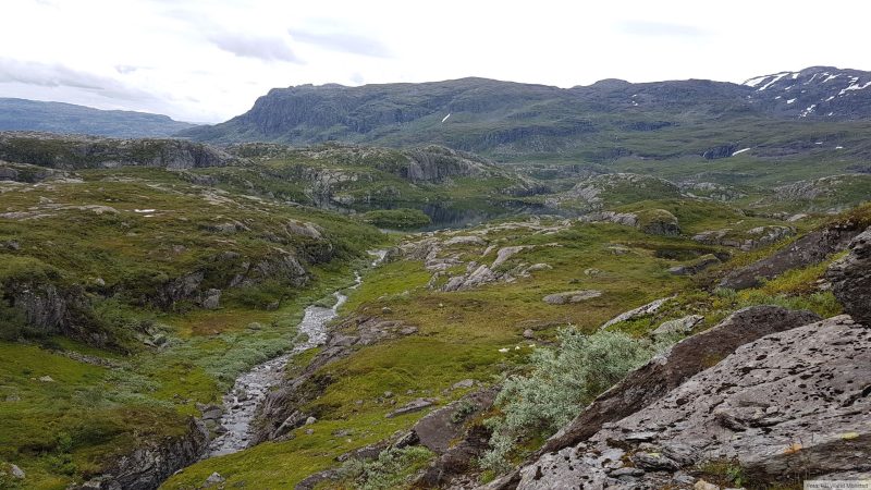 Fra bråtet mellom Langavatn og Dørlevatnet, mot Dørlevatn.