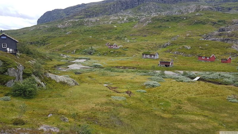 Nede ved stølene. Herfra tar jeg til venstre, nordover, og følger stien tilbake til bilen.