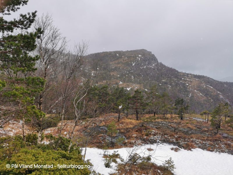 Det begynner å snø. Målet er toppen der framme. Vi gikk opp lia på venstre side.