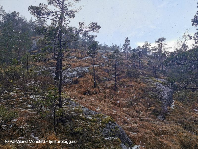 Fortsatt snøvær i det vi går opp siste lia mot toppen.