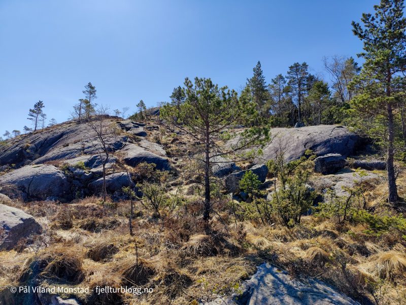 Lettere å gå etter at en del høydemeter var unnagjort.