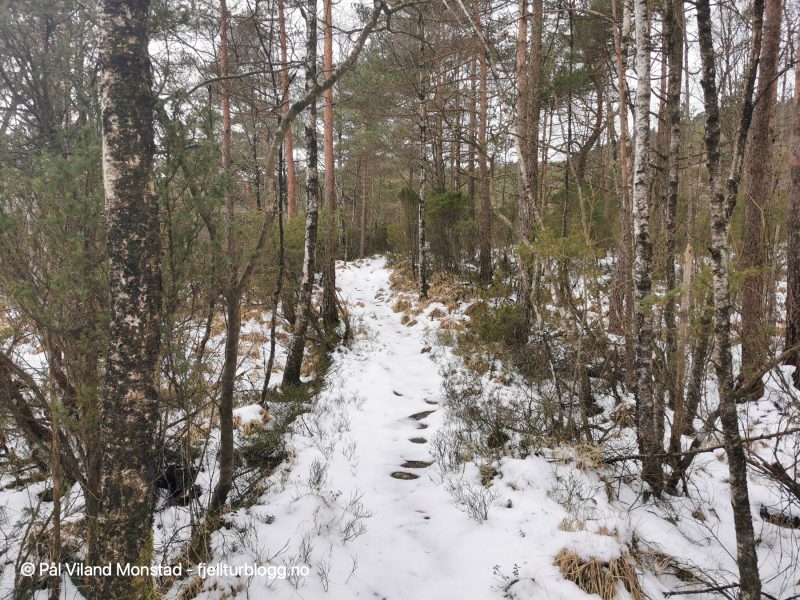 Ganske tydelig sti oppover, selv om den på dagens tur var dekket av snø.