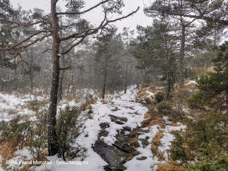 Snøbygene kom og gikk på dagens tur.