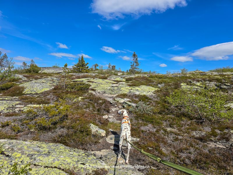 Varden i sikte, men ikke høyeste punkt.