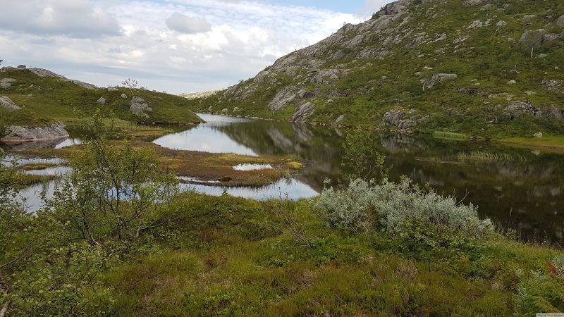 Vannet på Flotteheia. Bildet er fra turen i 2017.