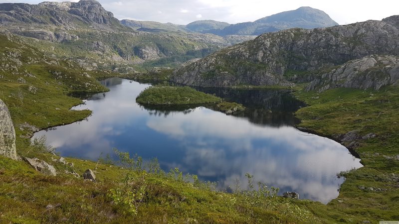 Litt lenger oppe i høyden på Flotteheia. Fra turen i 2017.