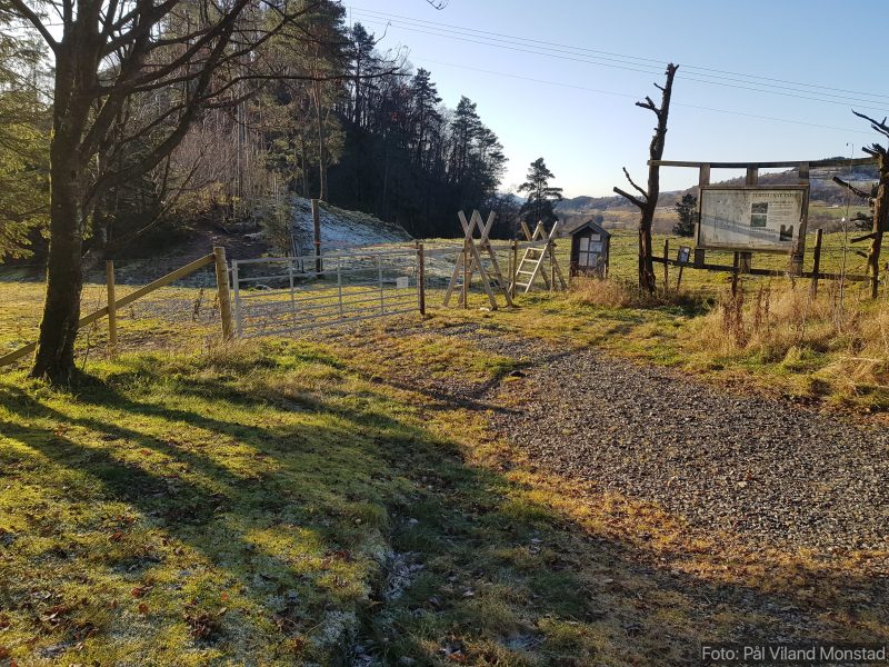 Turen starter ved rasteplassen ved E134. Over gjerdeklyver og ned skogsvei.