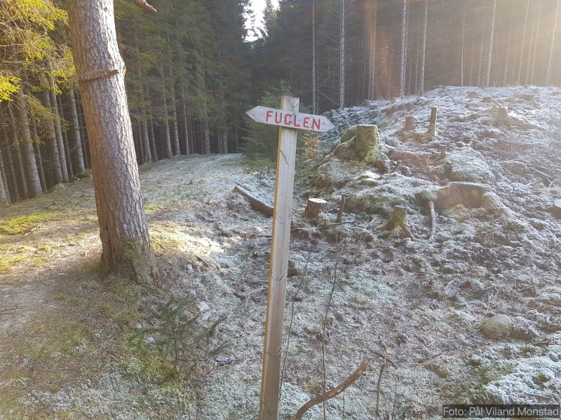 Valgets kval. Jeg velger å gå til venstre.