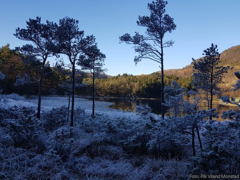 Fra sørsiden av Elleflåttjørna.